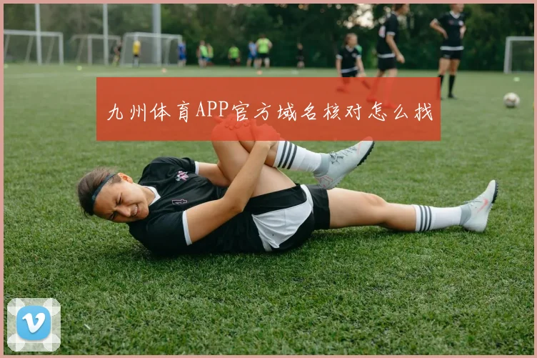 九州体育APP官方域名核对怎么找