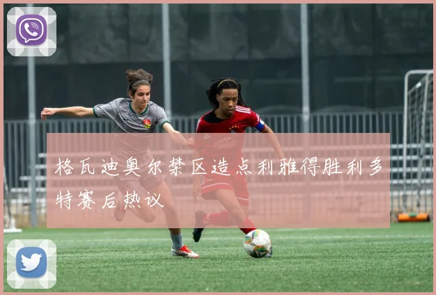 格瓦迪奥尔禁区造点利雅得胜利多特赛后热议