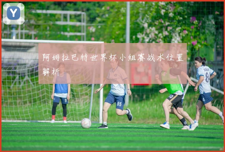 阿姆拉巴特世界杯小组赛战术位置解析